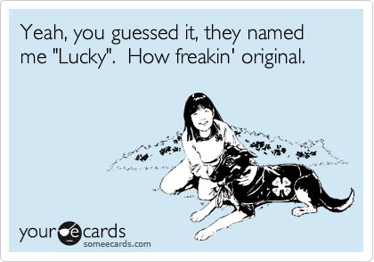 Yeah, you guessed it, they named me "Lucky".  How freakin' original.