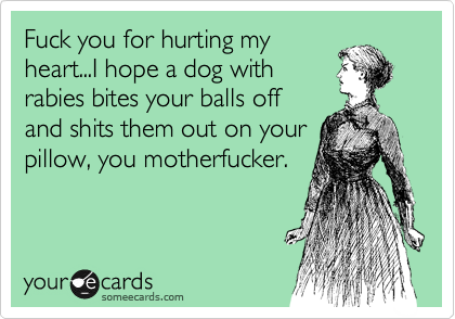 Fuck You For Hurting My Heart I Hope A Dog With Rabies Bites