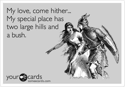 My love, come hither...
My special place has
two large hills and
a bush.