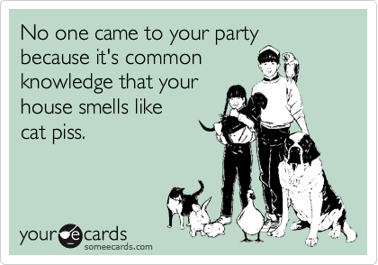 No one came to your party
because it's common
knowledge that your
house smells like
cat piss.