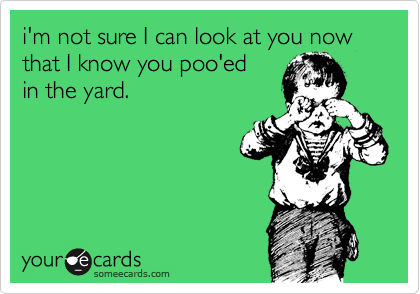 i'm not sure I can look at you now that I know you poo'ed
in the yard.