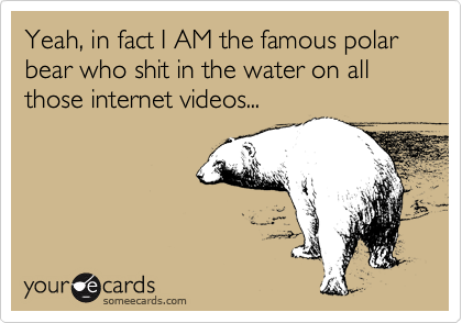 Yeah, in fact I AM the famous polar bear who shit in the water on all those internet videos...