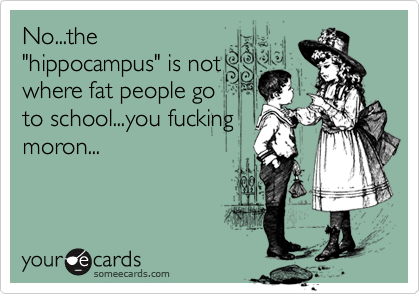 No...the
"hippocampus" is not
where fat people go
to school...you fucking
moron...