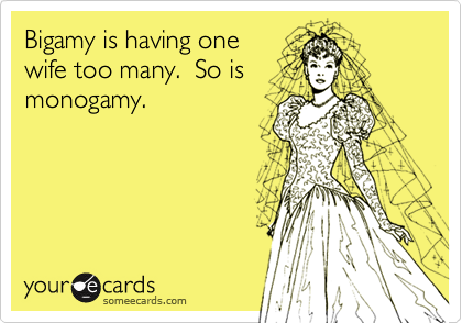 Bigamy is having onewife too many.  So ismonogamy.