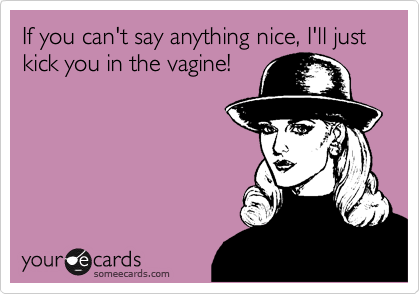 If you can't say anything nice, I'll just kick you in the vagine!