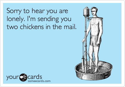 Sorry To Hear You Are Lonely I M Sending You Two Chickens In The Mail Friendship Ecard