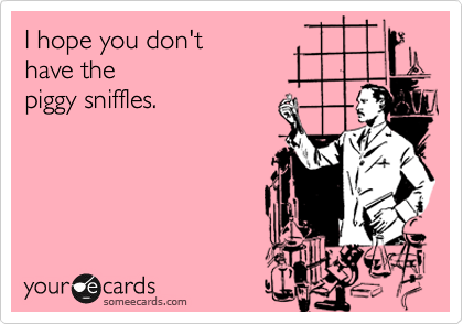 I hope you don't 
have the
piggy sniffles.