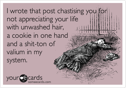 I wrote that post chastising you for
not appreciating your life
with unwashed hair,
a cookie in one hand
and a shit-ton of
valium in my
system.