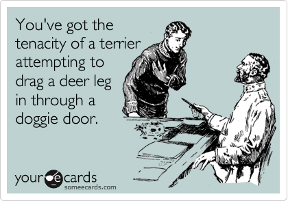 You've got the
tenacity of a terrier
attempting to
drag a deer leg
in through a
doggie door. 