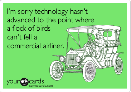 I'm sorry technology hasn't advanced to the point where
a flock of birds
can't fell a
commercial airliner.