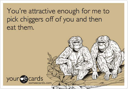 You're attractive enough for me to pick chiggers off of you and then eat them.