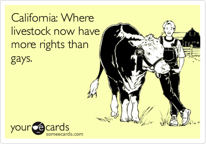 California: Where
livestock now have
more rights than
gays.