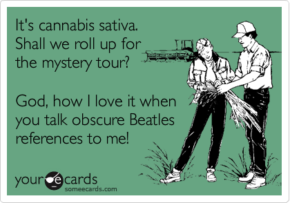It's cannabis sativa.
Shall we roll up for 
the mystery tour?

God, how I love it when
you talk obscure Beatles
references to me!