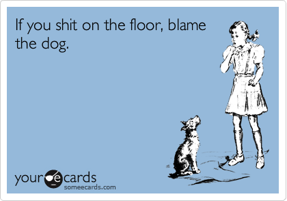 If you shit on the floor, blame
the dog.