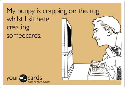 My puppy is crapping on the rug whilst I sit here
creating
someecards.