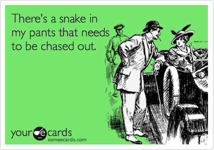 There's a snake in
my pants that needs
to be chased out.