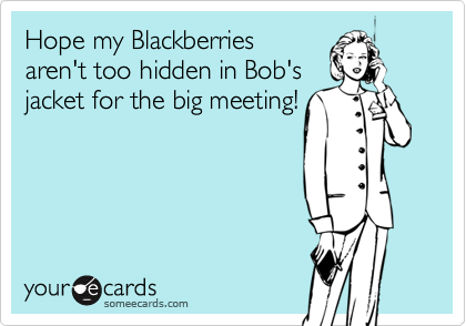 Hope my Blackberries
aren't too hidden in Bob's
jacket for the big meeting!