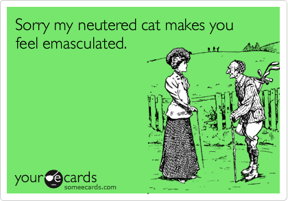 Sorry my neutered cat makes you feel emasculated.