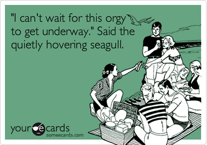 "I can't wait for this orgy 
to get underway." Said the
quietly hovering seagull.