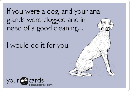 If you were a dog, and your anal glands were clogged and in
need of a good cleaning....

I would do it for you.