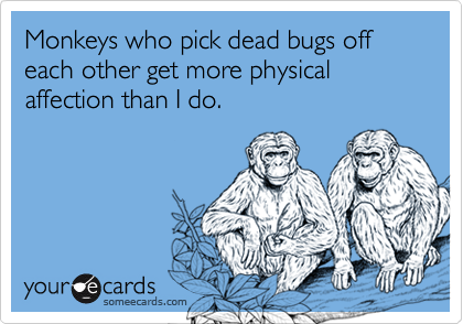 Monkeys who pick dead bugs off each other get more physical affection than I do.