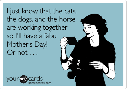 I just know that the cats,
the dogs, and the horse
are working together
so I'll have a fabu
Mother's Day!
Or not . . .