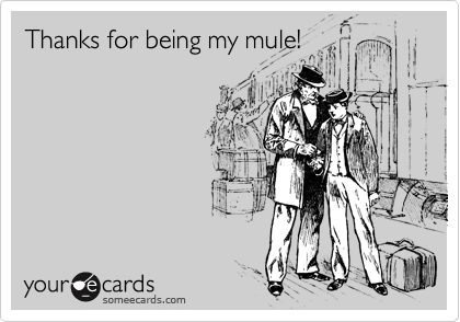 Thanks for being my mule!