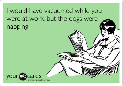 I would have vacuumed while you were at work, but the dogs werenapping.
