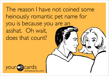 The reason I have not coined some heinously romantic pet name for you is because you are anasshat.  Oh wait,does that count?