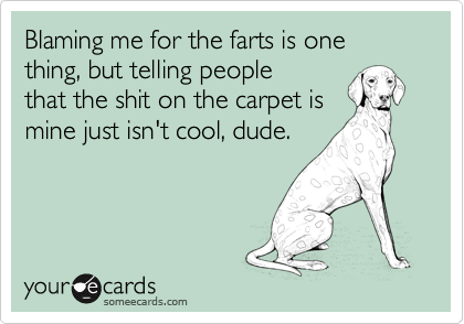 Blaming me for the farts is one thing, but telling people
that the shit on the carpet is
mine just isn't cool, dude.