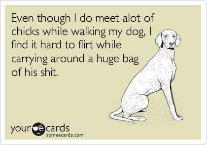 Even though I do meet alot of chicks while walking my dog, I
find it hard to flirt while
carrying around a huge bag
of his shit.
