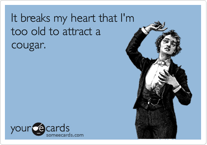 It breaks my heart that I'm
too old to attract a
cougar.