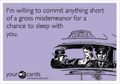 I'm willing to commit anything short of a gross misdemeanor for a chance to sleep with
you.