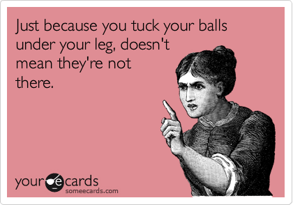 Just because you tuck your balls under your leg, doesn't
mean they're not
there.