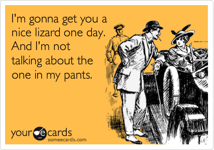 I'm gonna get you a
nice lizard one day.
And I'm not
talking about the
one in my pants.