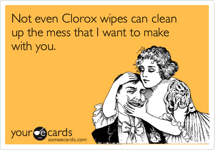 Not even Clorox wipes can clean up the mess that I want to make with you.