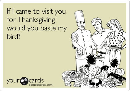 If I came to visit you
for Thanksgiving
would you baste my
bird?