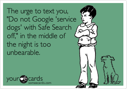 The urge to text you,"Do not Google 'servicedogs' with Safe Searchoff," in the middle ofthe night is toounbearable.