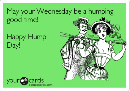 May your Wednesday be a humping good time!

Happy Hump 
Day!