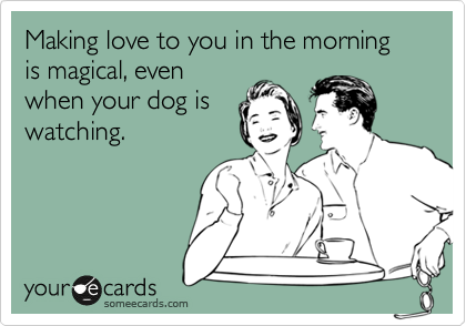 Making love to you in the morning is magical, even
when your dog is
watching.