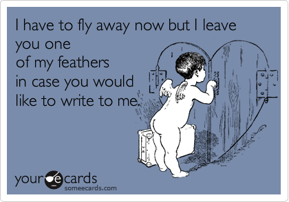 I have to fly away now but I leave you one
of my feathers 
in case you would 
like to write to me.
