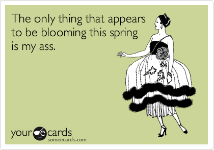 The only thing that appears
to be blooming this spring
is my ass.