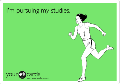 I'm pursuing my studies.