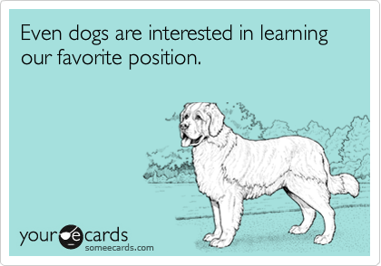 Even dogs are interested in learning our favorite position.