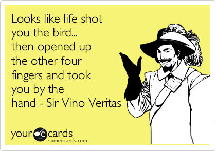 Looks like life shot 
you the bird...
then opened up 
the other four
fingers and took 
you by the
hand - Sir Vino Veritas