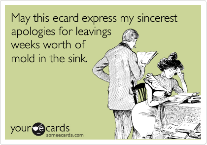 May this ecard express my sincerest apologies for leavings
weeks worth of
mold in the sink.