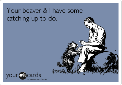 Your beaver & I have some catching up to do.