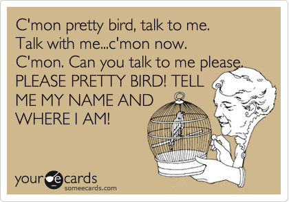 C'mon pretty bird, talk to me. 
Talk with me...c'mon now.
C'mon. Can you talk to me please. PLEASE PRETTY BIRD! TELL
ME MY NAME AND
WHERE I AM!