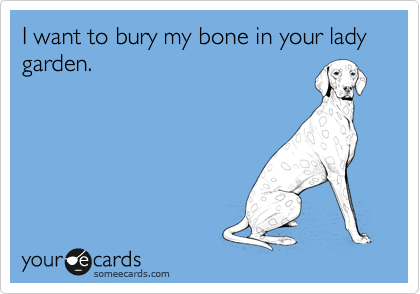 I want to bury my bone in your lady garden.