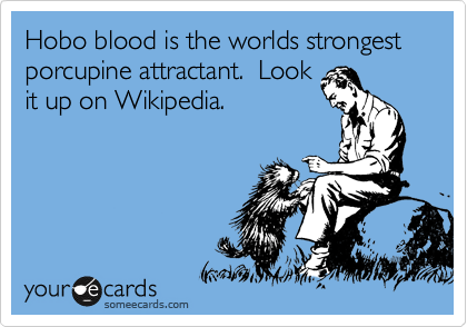 Hobo blood is the worlds strongest porcupine attractant.  Look
it up on Wikipedia. 
